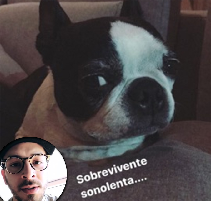 Junior Lima relata susto com sua cachorrinha: <i>Foram 24 andares sendo estrangulada</i>