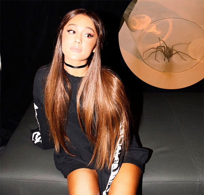 Ariana Grande sabe o feitiço perfeito para ajudar J.K. Rowling, entenda!