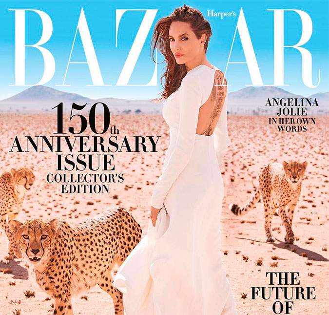 Angelina Jolie ajudou a resgatar três onças filhotes na Namíbia, entenda essa história!