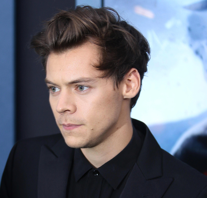 Vídeo de Harry Styles sendo assediado em <i>show</i> viraliza e fãs pedem respeito, entenda!