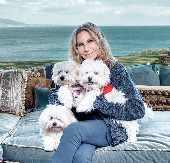 Barbra Streisand revela ter clonado sua cachorra duas vezes, entenda!