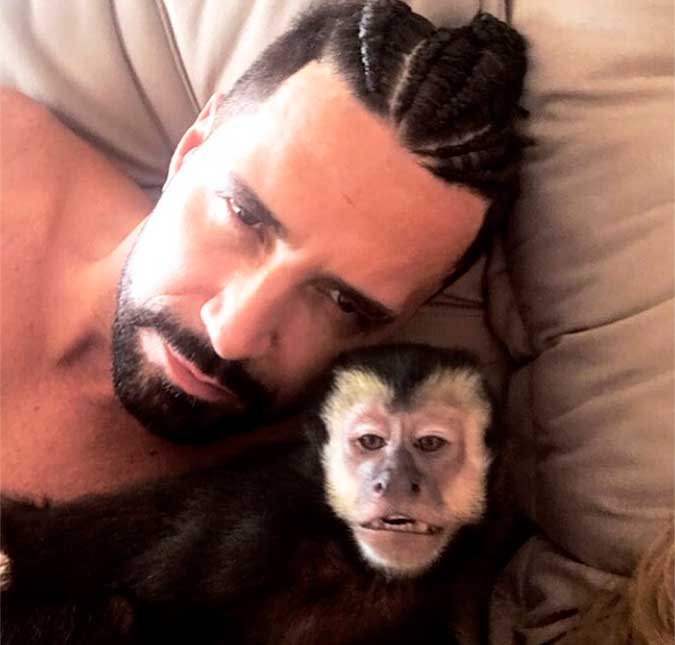 Cantor Latino estaria arrasado após morte de seu macaco, Twelves, que foi atropelado, saiba mais!