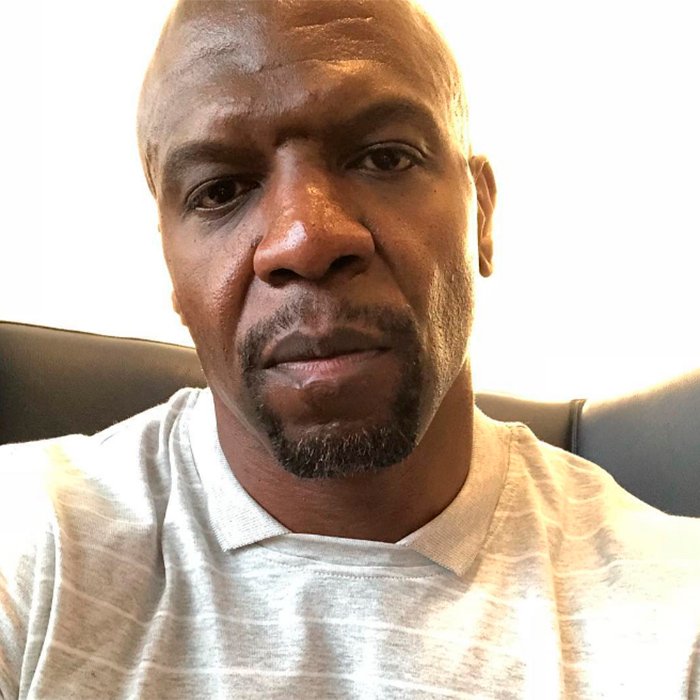 Após acusar agente de abuso sexual, Terry Crews dá depoimento emocionante no Senado norte-americano