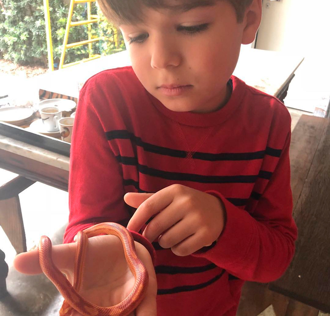 Luciana Gimenez posta foto do filho com cobra na mão e declara: <i>Como você é corajoso</i>