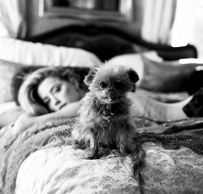 Amber Heard acha <I>nojento</I> o fato de Johnny Depp ter dito que ela defecou na cama deles