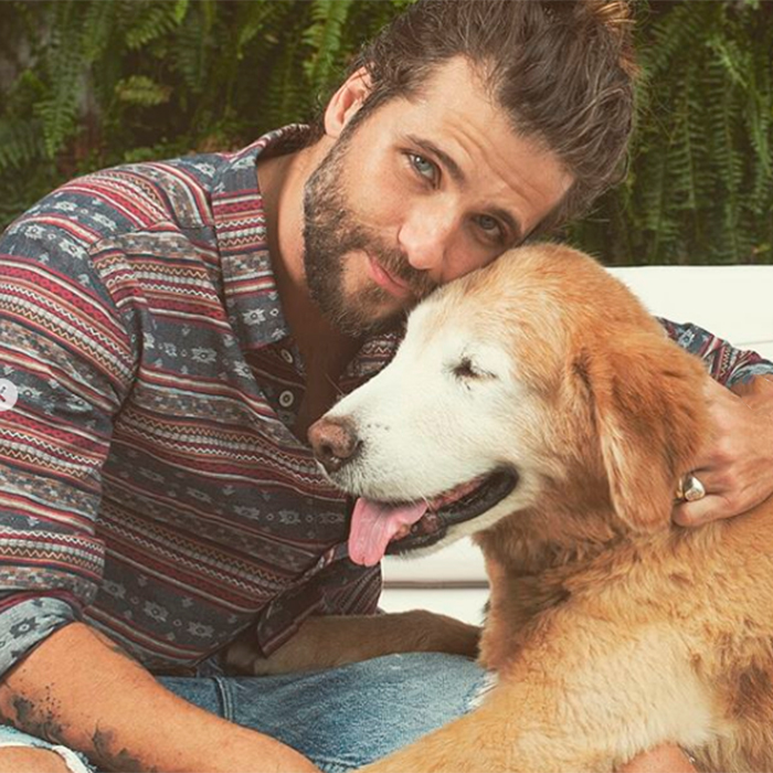 Bruno Gagliasso lamenta morte de um de seus cachorros: <I>Virou anjo</i>