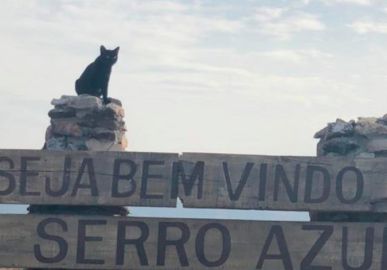 Novela <i>O Sétimo Guardião</i> terá a maior cidade cenográfica da história, diz colunista