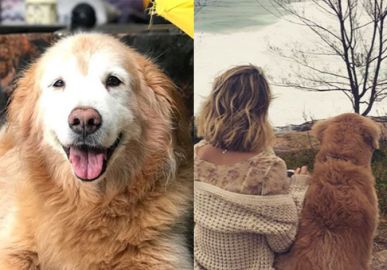 Giovanna Ewbank lamenta morte de seu cachorro: <i>Não consigo acreditar que você se foi</i>