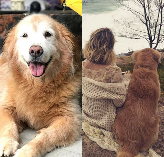 Giovanna Ewbank lamenta morte de seu cachorro: <i>Não consigo acreditar que você se foi</i>