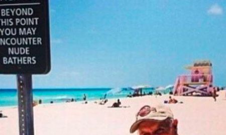 Aos 82 anos, Carlos Alberto de Nóbrega surpreende ao aparecer nu em clique. Veja outras celebridades que já posaram como vieram ao mundo!