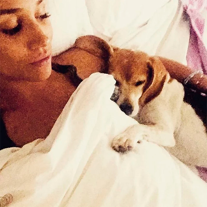 Cachorrinho adotado por Meghan Markle vai ganhar biografia!
