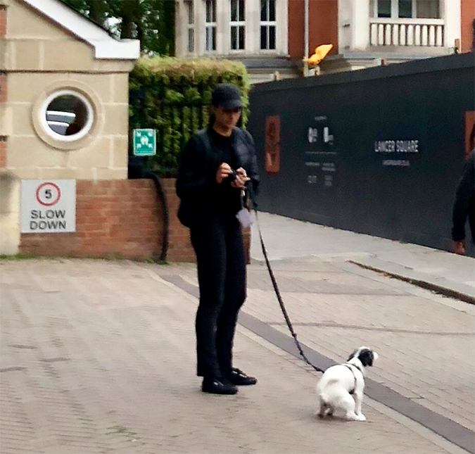 Jornalista afirma que flagrou Meghan Markle passeando com cachorro no <I>quintal</i> do Palácio... será?