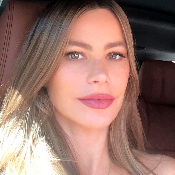 Sofia Vergara rebate seguidor que apontou mudança em seu rosto: Se chama  envelhecer - Estrelando