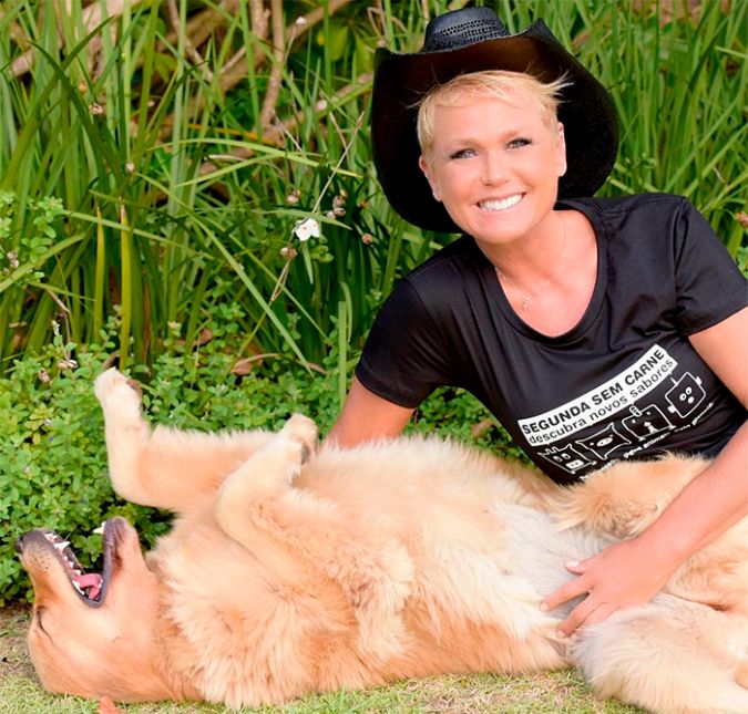 Xuxa já teve 54 cachorros de uma vez só! Ela contou que, na época, morava em um sítio, e foi complicado! Ela também foi mantenedora do Ibama, e quando os bichos apreendidos chegavam até ela, ela cuidava de animais como macacos, micos e jacarés. Xuxa já teve 54 cachorros de uma vez só! Ela contou que, na época, morava em um sítio, e foi complicado! Ela também foi mantenedora do Ibama, e quando os bichos apreendidos chegavam até ela, ela cuidava de animais como macacos, micos e jacarés.