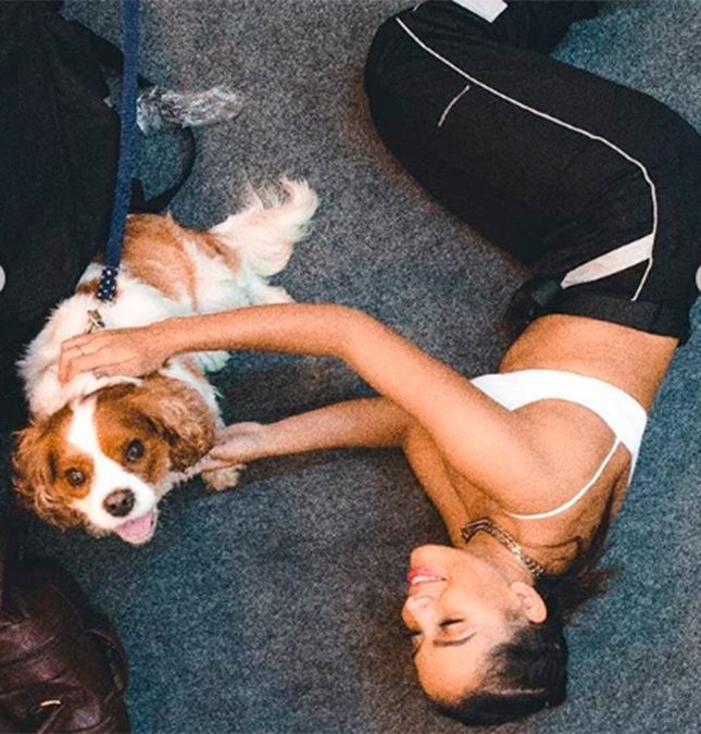Anitta dá bronca no cachorro e fala que ele quebrou a geladeira