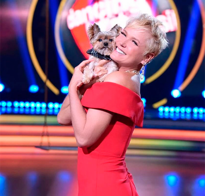 Xuxa Meneghel surpreende ao surgir com cachorro no <i>Dancing Brasil</i>