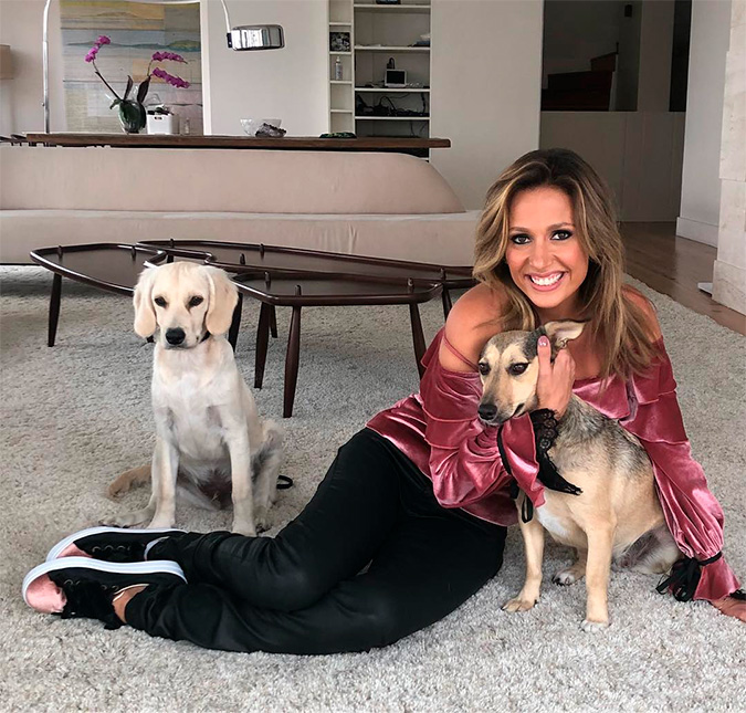 Luisa Mell manda indireta nas redes sociais: <I>Nos animais eu posso confiar</I>