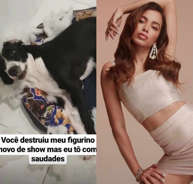 Anitta conta que seu cachorro destruiu seu novo figurino de <i>show</i>!