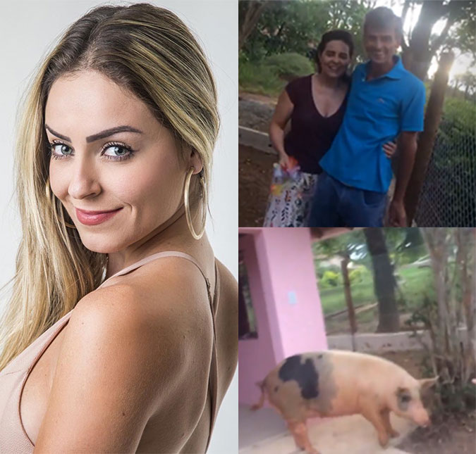 Muita fofura! Porca de Paula do <i>BBB 19</i> comemora muito após ela ganhar prova de resistência!