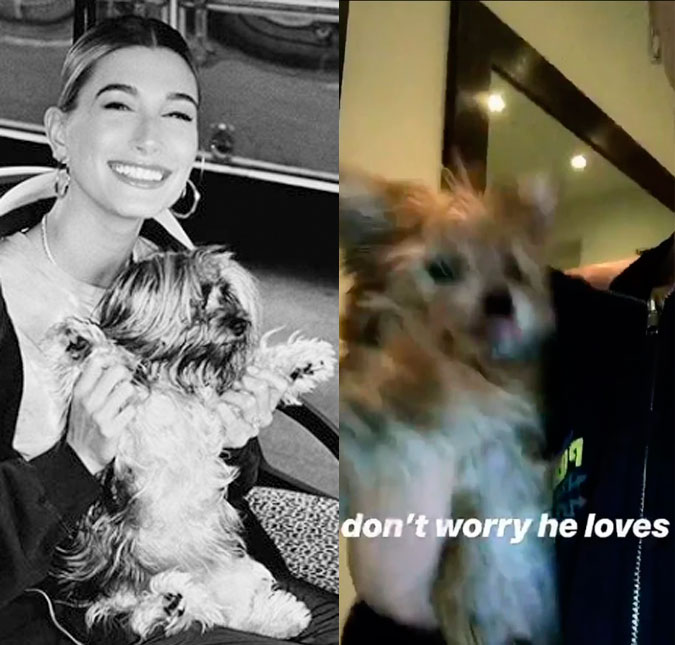 Hailey Baldwin é acusada de abusar de cachorro, entenda!