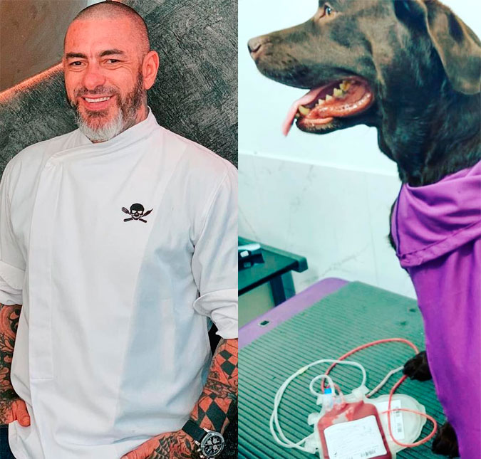 Henrique Fogaça leva cachorrinha para doar sangue aos animais de Brumadinho