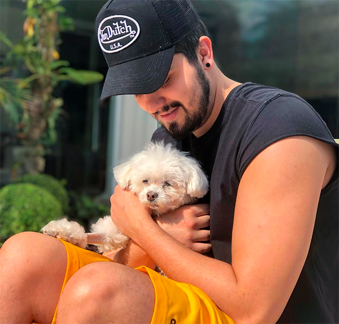 Cachorro de Luan Santana sofre acidente e cantor desabafa: <i>Ele segue firme</i>