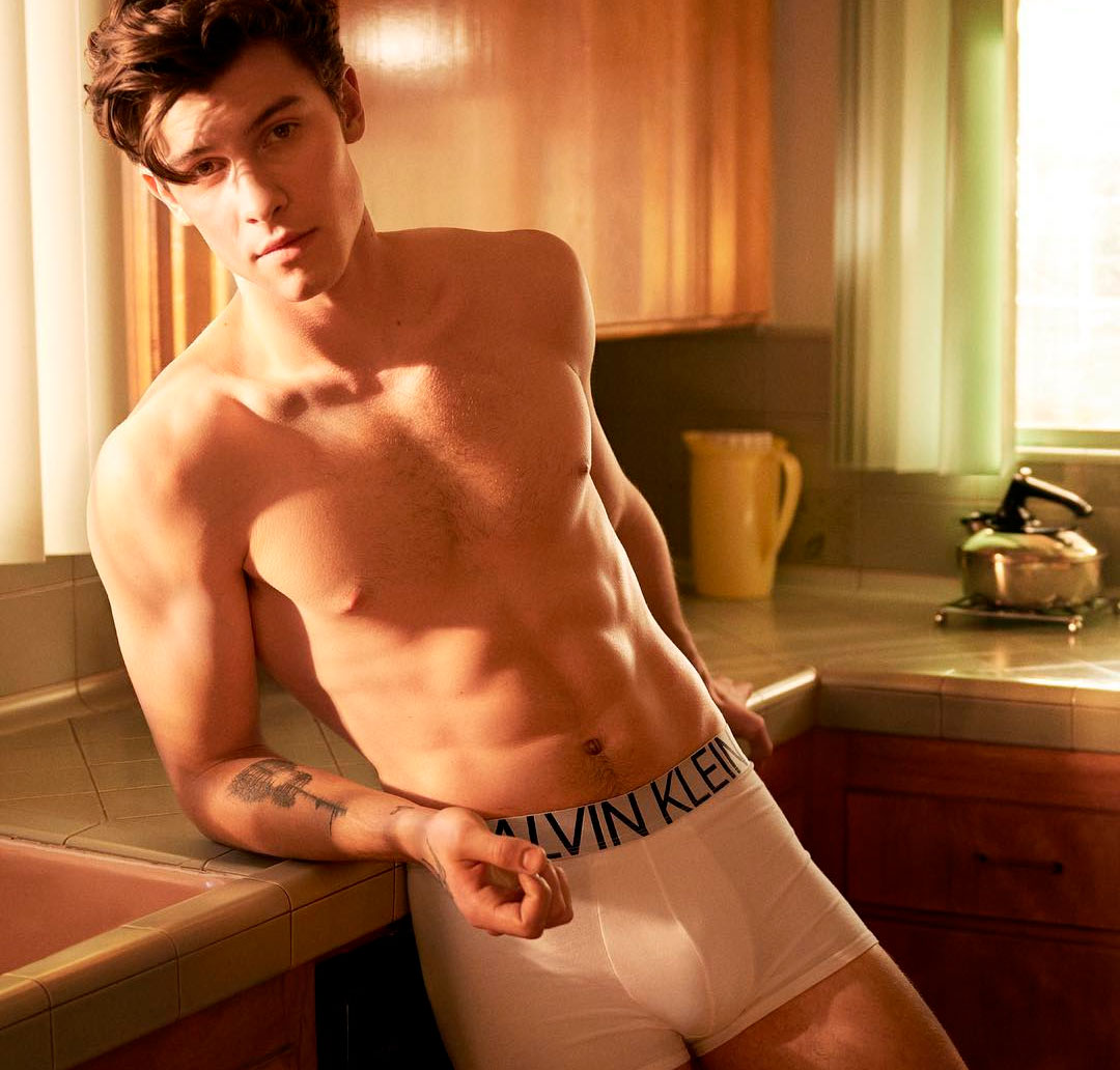 Shawn Mendes enlouquece a <i>web</I> em fotos só de cueca para campanha publicitária, confira!