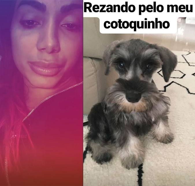 Anitta se emociona ao falar sobre internação de seu cachorro: <i>Problema no coração</i>