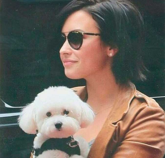 Demi Lovato reencontra morador de rua que foi ajudado por seu cachorro