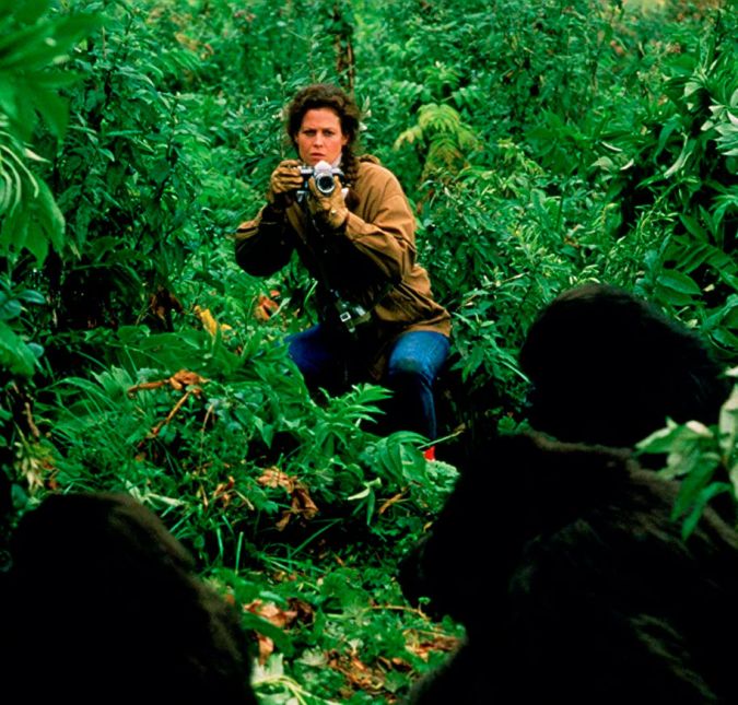 Sigourney Weaver deu vida à bióloga Dian Fossey em Nas Montanhas dos Gorilas. A pesquisadora era conhecida não apenas por estudar gorilas, mas também por ser uma ativista pela preservação dos animais. No longa, Dian viaja para Ruanda, na África, onde consegue ser integrada a um grupo de gorilas, fazendo de tudo para salvá-los da caça indiscriminada que está ocorrendo na região. A atuação de Sigourney foi tão elogiada que ela ganhou o Globo de Ouro de Melhor Atriz em 1989 pelo papel. Imperdível, né?