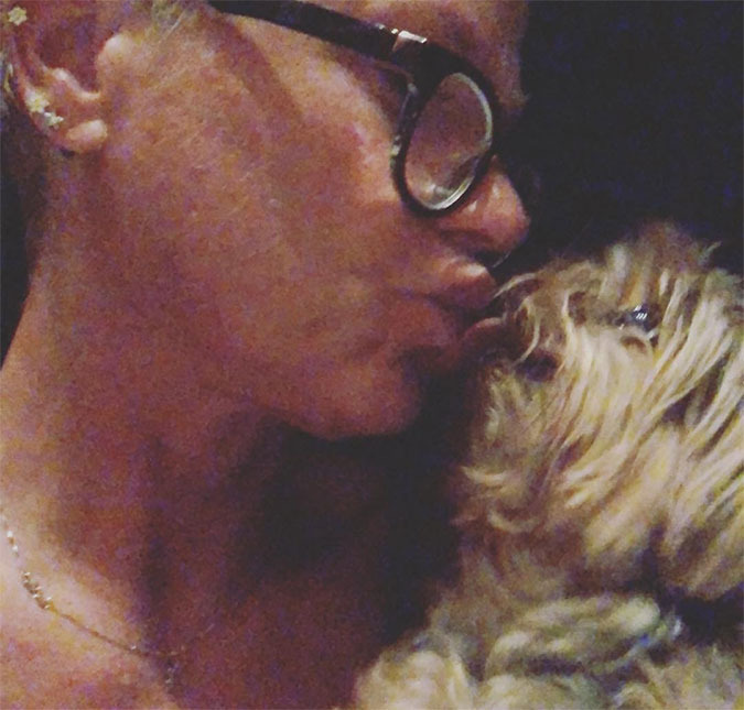 Xuxa posta texto emocionante após a morte de seu cachorrinho: <i>O que faço sem você?</i>