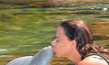 Viviane Araújo nada com golfinhos durante férias em Orlando, veja os cliques da viagem dela