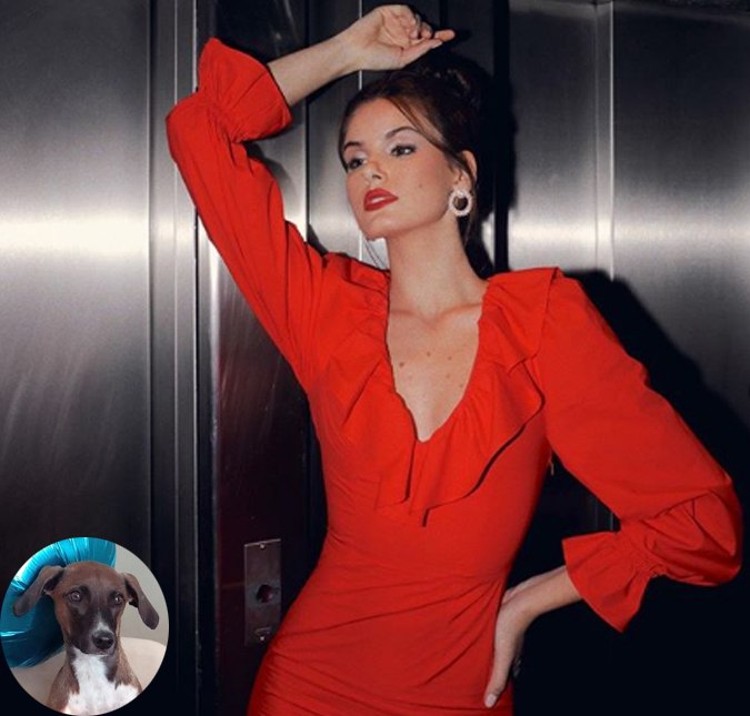 Camila Queiroz monta festinha de aniversário para sua cachorrinha