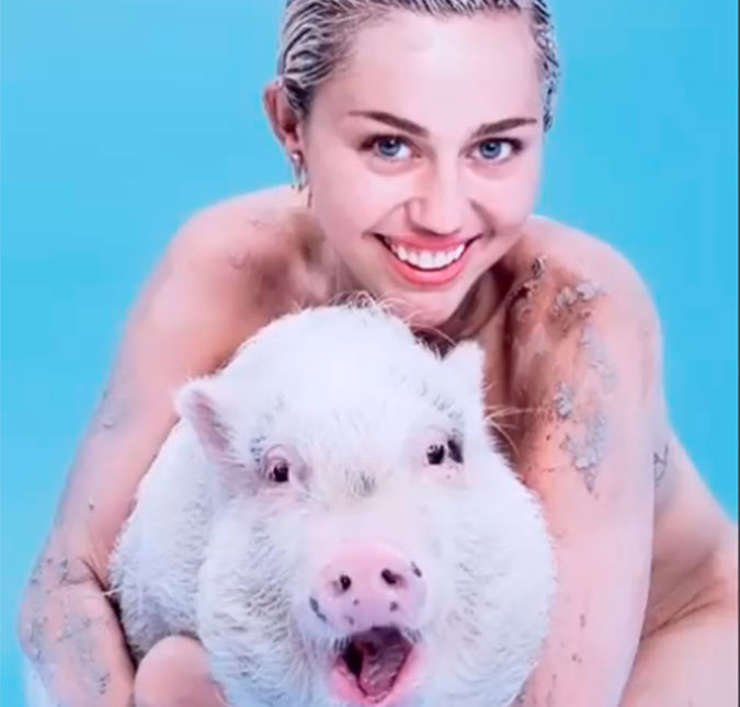 Miley Cyrus lamenta a morte de seu porquinho: <i>Vou sentir sua falta</i>