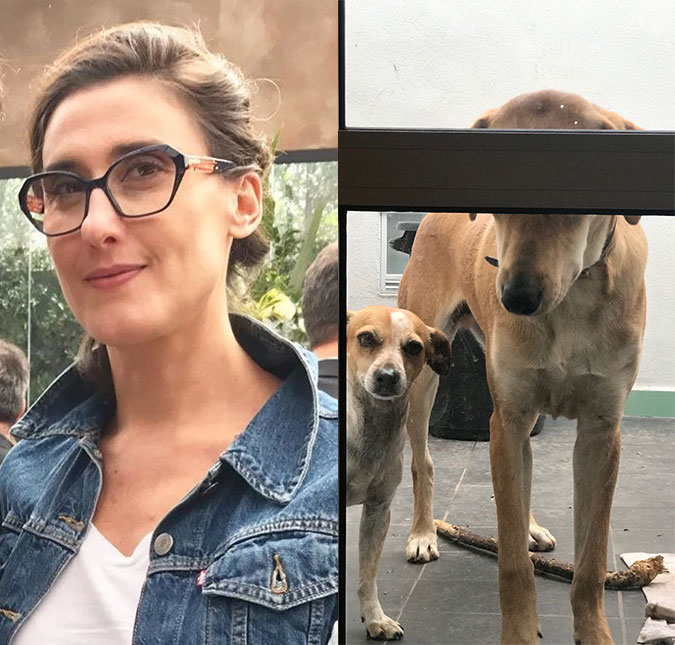 Cachorros de Paola Carosella ficam de castigo após comerem bolo e viram <I>meme</I>!