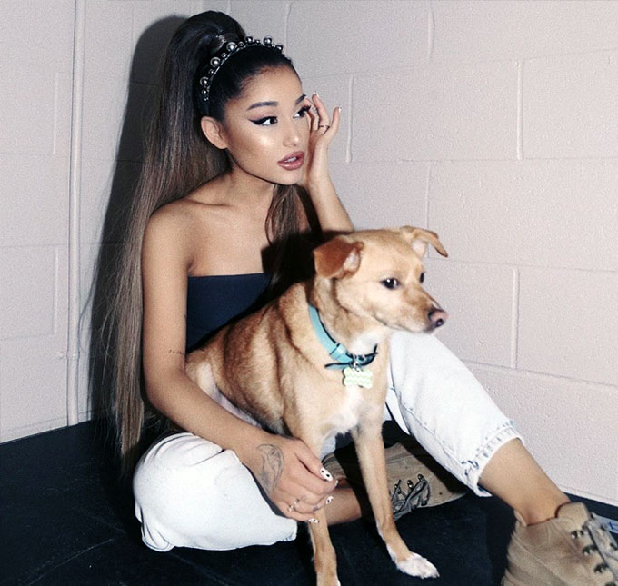 Ariana Grande contrata jatinho e paga quarto com diária de 12.800 reais para seus cães durante turnê, diz jornal