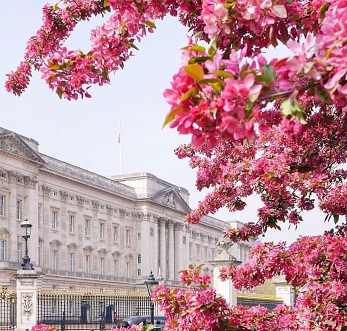 Família real abre vagas para trabalhar no Castelo de Windsor!