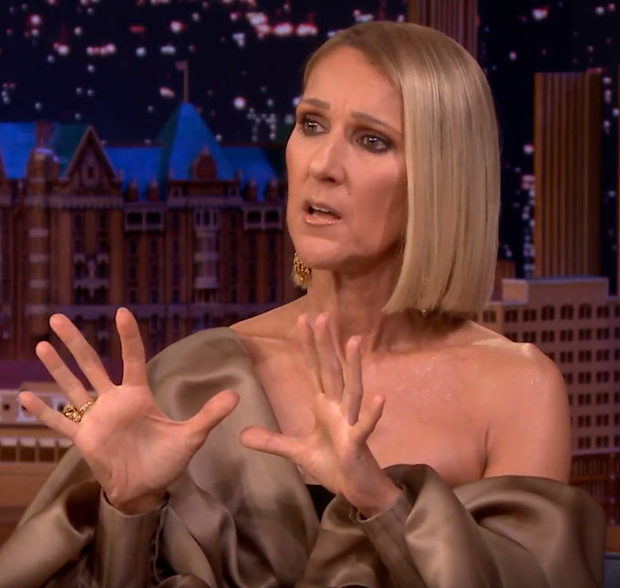 Celine Dion dá opinião sobre cena icônica de Jack e Rose em <i>Titanic</i>, assista!