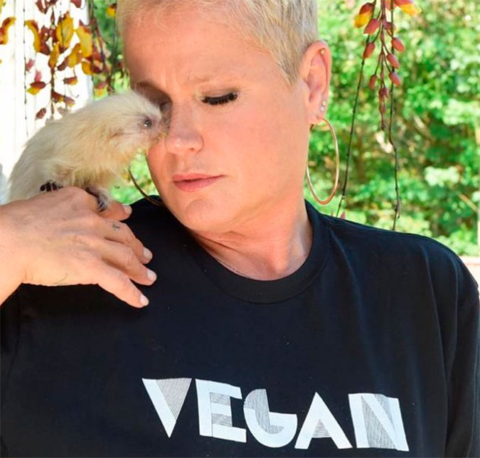Xuxa Meneghel dá mamadeira para ouriço e solta animais silvestres; assista!
