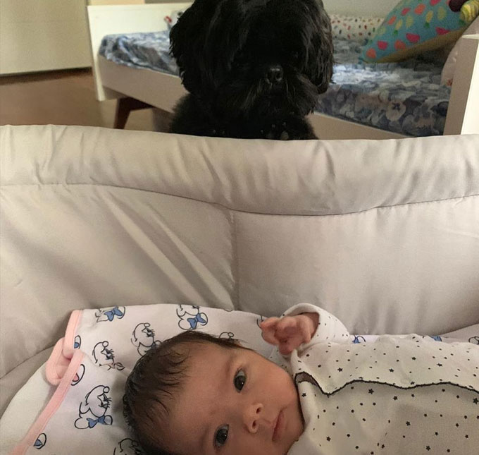 Tatá Werneck encanta ao postar foto da filha com cachorro da família: <i>Me sinto observada</i>