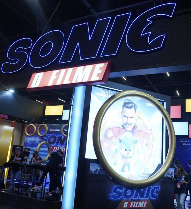 <i>Sonic</i>