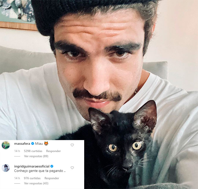 Caio Castro posta foto com gato de Grazi Massafera e Ingrid Guimarães faz comentário peculiar: <I>Conheço gente que ta pegando...</I>