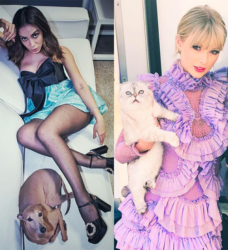 Anitta, Taylor Swift, Ariana Grande... relembre nove artistas que já colocaram seus <I>pets</I> em videoclipes!
