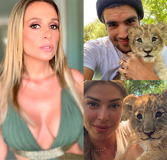 Após críticas de Luisa Mell, Grazi Massafera apaga fotos com leões na África do Sul; entenda!