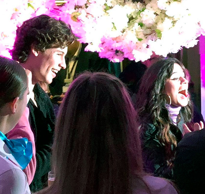 Camila Cabello ganha festa de aniversário surpresa de Shawn Mendes com tema <i>Cinderela</i>, veja!