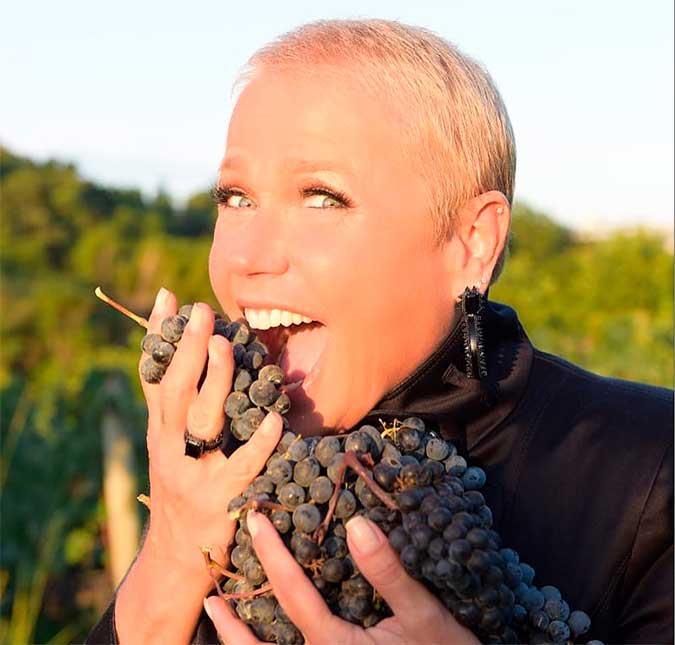 Xuxa Meneghel devora sanduíche com alface no lugar do pão: <i>- Nasci para comer isso!</i>