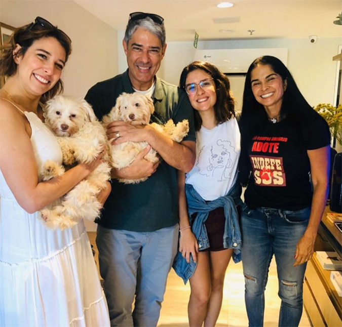 William Bonner e a esposa, Natasha Dantas, adotam casal de cães. Veja!