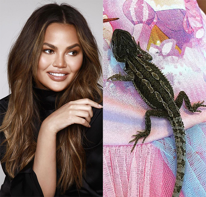 Chrissy Teigen compra animal exótico para o aniversário de seu filho mais novo, veja!