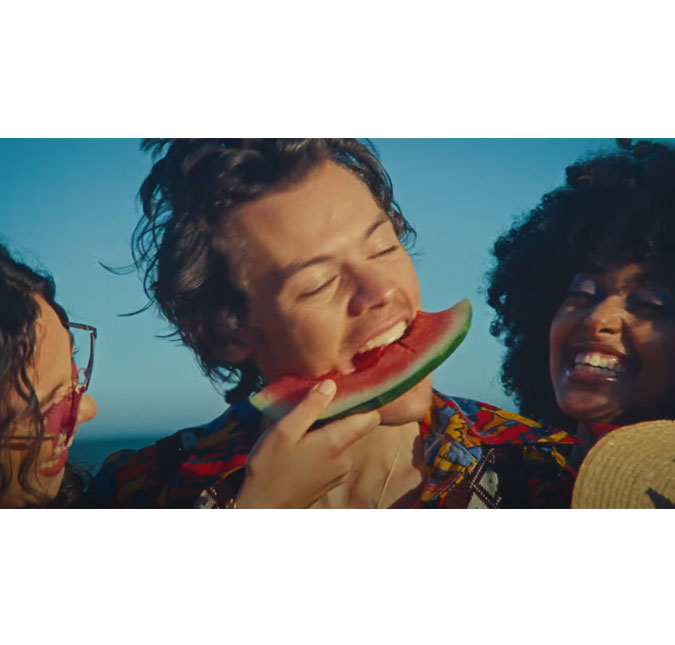 Harry Styles lança clipe de <I>Watermelon Sugar</I> com tudo o que a gente queria nesta quarentena: se divertir na praia com os migos!
