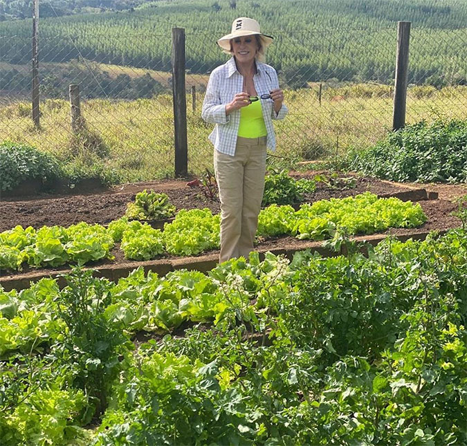 Ana Maria Braga pede desculpas após receita polêmica de acarajé e cita <I>Verdinha</I> de Ludmilla em <I>post</I>: <I>Minha horta veio antes</I>